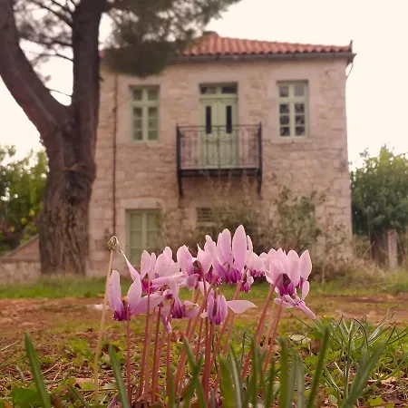 Heritage House In Apartamento