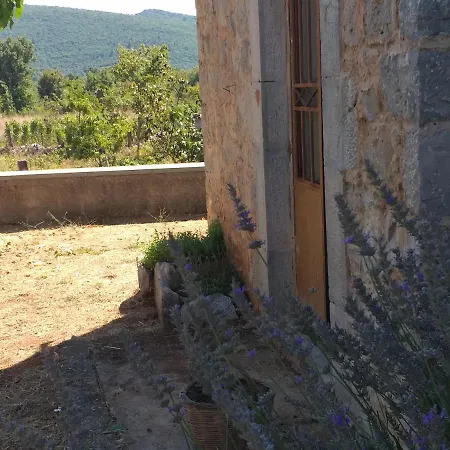 Apartamento Heritage House In